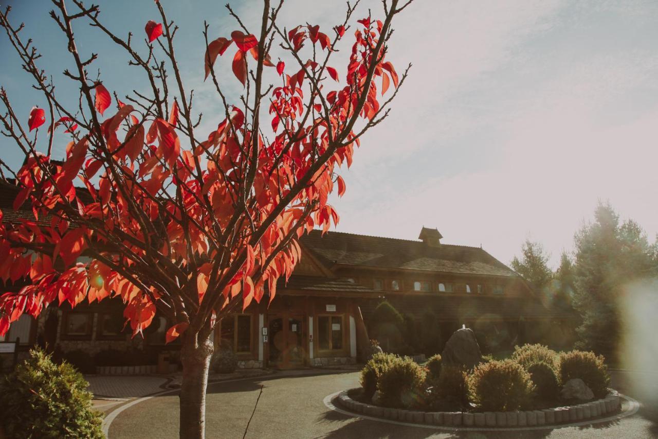 Bajka Hotel & Resort Grodziec Kültér fotó