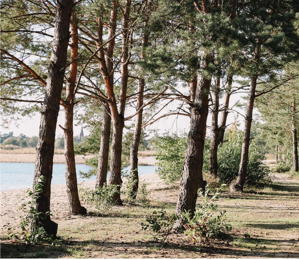 Bajka Hotel & Resort Grodziec Kültér fotó
